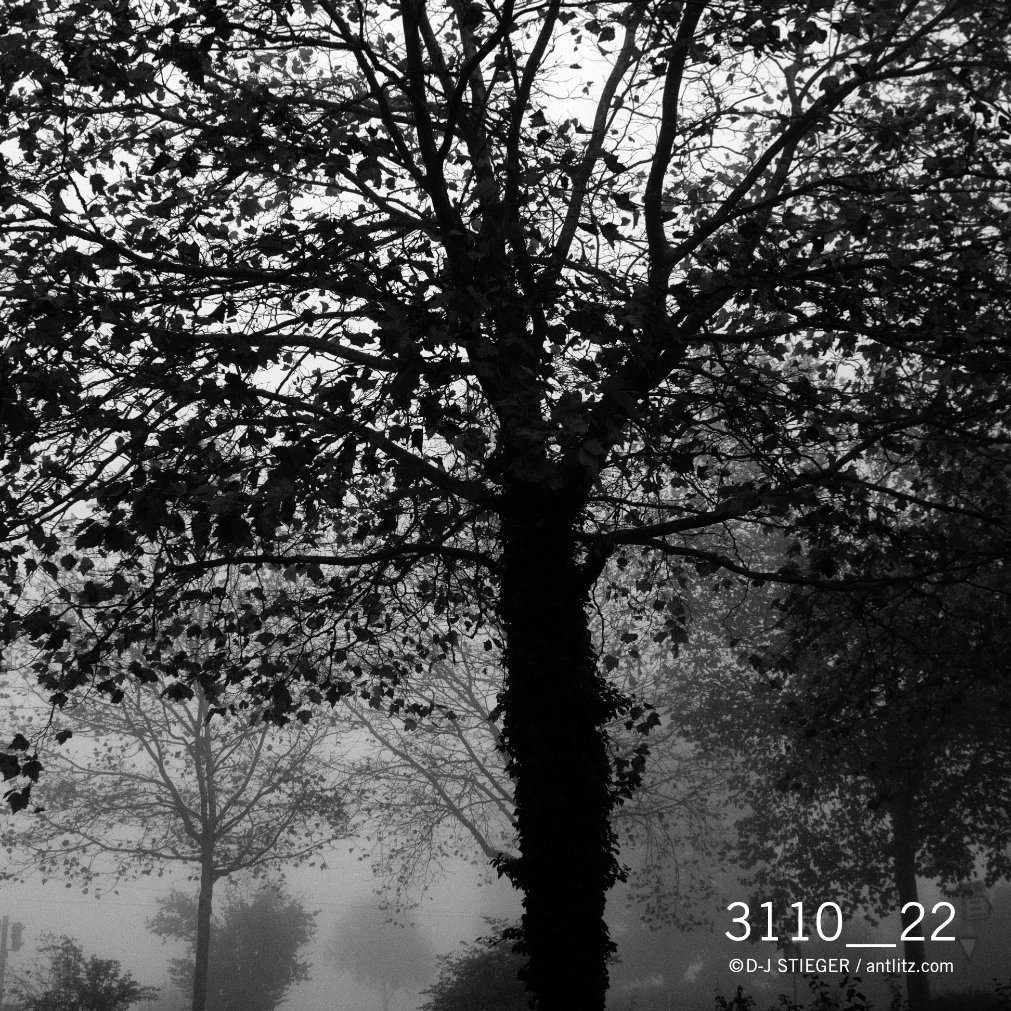Stacks Image 75228